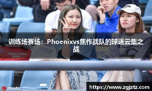 训练场赛场：Phoenixvs焦作战队的球迷云集之战